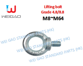 Lifting bolt